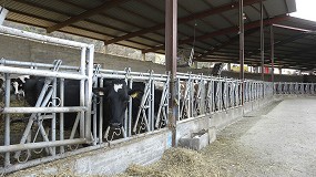 Foto de Europa abre una consulta pblica sobre el bienestar del ganado vacuno en granja