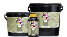 ATA NRG Upgrade de Atami