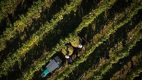 Foto de Barcos Wines reforça portefólio da Vinalda no Vinho Verde