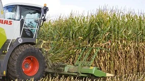 Foto de Agricultura de precisión con maíz forrajero: limpieza de mapas de rendimiento