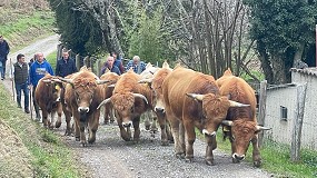 El Principado destina ms de 200.000 euros para la mejora de Asturiana de la Montaa