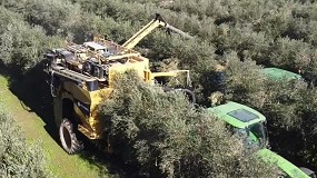 FIMA 2024: Cosechadora de olivar superintensivo y nuevo cabezal para maz de Moresil