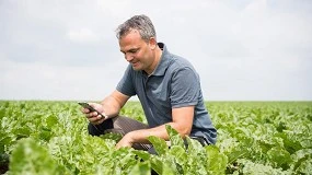 Foto de El Gobierno crea un rgano para coordinar el Sistema de Conocimiento e Innovacin en Agricultura en Espaa