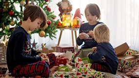 La Campaa de Navidad y Reyes no consigue remontar el resultado final del ao