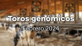 Picture of [es] Nuevos toros genmicos en Conafe con prueba oficial tras la evaluacin de febrero
