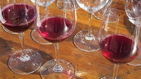 Foto de La DOCa Rioja aprueba denominar 'Vinos de Pueblo' a los vinos 'de Municipio'