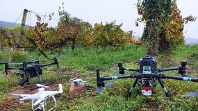 Foto de Otimização avançada de rotas de drones para a deteção de cachos utilizando algoritmos baseados na inteligência de enxame