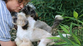 Shih tzu: morfologa, seleccin y cra