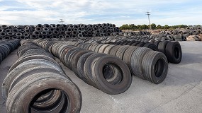 Foto de TNU mantiene sus tarifas de gestión de neumáticos fuera de uso