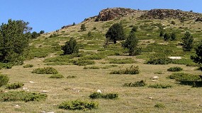 Foto de El proyecto RePiCa busca replantear la actividad del pastoreo en la alta montaña pirenaica