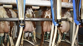 Foto de Datos de producción del control lechero oficial de caprino en Castilla y León