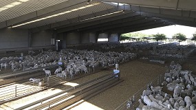 Foto de Fuerte descenso anual del 6,4% en el nmero de productores de leche de oveja