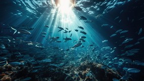 Las cajas de plstico reutilizables tienen 2,6 veces menos potencial de eutrofizacin y 1,2 veces menos de acidificacin que las cajas de cartn de un solo uso