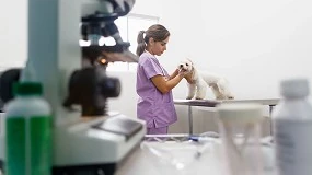 Foto de Consejos para que un centro veterinario triunfe en los medios de comunicacin