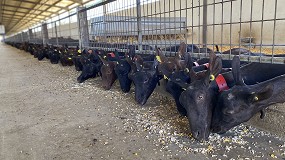 Fotografia de [es] El pienso para caprino de leche tiene en la actualidad su precio ms bajo de los ltimos tres aos