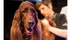 Foto de El mayor espectculo de peluquera canina del mundo vuelve a Madrid