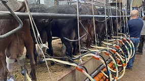 Fotografia de [es] Andaluca empuja a un aumento del 6,5% en la produccin de leche de cabra en el inicio del ao
