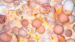 La Generalitat Valenciana apoya la transformacin de los huevos rotos en materias primas para las industrias del calzado y la cermica