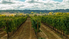 Fotografia de [es] Expertos en innovacin vitivincola se darn cita en la Ribera del Duero el 11 de abril