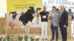 Foto de Marquet Paradis Unstopabull se proclama Vaca Gran Campeona de Catalua 2024