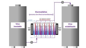 Estabilizacin tartrica y acidificacin de vinos: diferencias entre las tecnologas de intercambio de iones por resinas y de extraccin de iones por membranas
