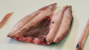 Nueva Desespinadora-Evisceradora de Cruells