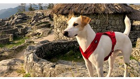 Trixie Espaa profesionaliza la figura del Creadog de Contenido