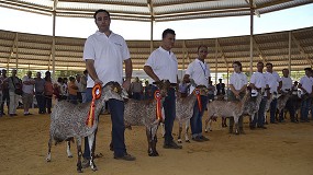 Fotografia de [es] Las razas puras volvern a estar presente en la Feria Internacional Ganadera de Zafra