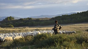 Foto de Un trabajo confirma la importancia del pastoreo para la conservacin de la biodiversidad