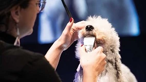 Foto de El sector de la peluquería canina, en máximo auge en España