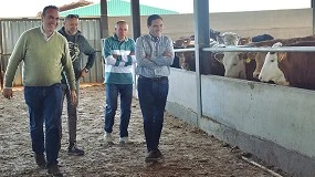 Foto de Inteligencia artificial para controlar la sanidad de los animales en una granja de vacuno