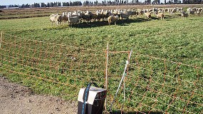 Foto de Claves y calendario del pastoreo regenerativo con rebaos de pequeos rumiantes