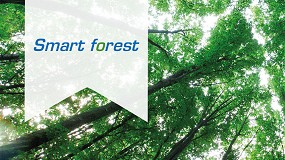 Picture of [es] Molecor Forest: Contribucin al cuidado del planeta a travs de la reforestacin