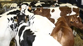 Foto de Importante retroceso de la leche en Torrelavega por la ausencia de compradores
