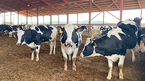 Fotografia de [es] El aumento de la produccin empuja a un descenso de los precios de la leche de vaca