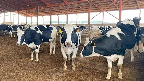 Foto de El aumento de la produccin empuja a un descenso de los precios de la leche de vaca