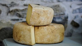 Foto de Alimentar cabras con pulpa de naranja deshidratada da mejores quesos