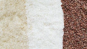 Foto de Novo documento tcnico para melhoramento gentico do arroz divulgado