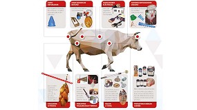 Segell Expres destaca sus soluciones de marcaje industrial, sellos y tintas