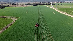 Picture of [es] Deshierbe mecnico y nuevas variedades, alternativas a los herbicidas
