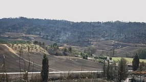 Foto de Prevencin y colaboracin comunitaria: La estrategia de Navarra contra los incendios forestales