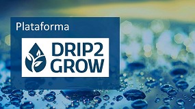 Foto de El proyecto DRIP2GROW ayuda a aumentar la productividad del agua en un 30%
