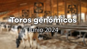 Foto de Se incorporan ocho nuevos toros genmicos de Frisona a la evaluacin de junio