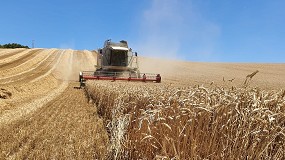 Foto de Cooperativas eleva la cosecha nacional de cereales por encima de los 22 Mt en su segunda estimacin
