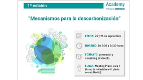 Picture of [es] Nueva fecha del curso de Anese sobre mecanismos para la descarbonizacin