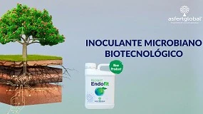 Foto de Kiplant Endofit, un inoculante vegetal beneficioso para el microbioma de las plantas