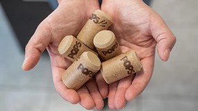 Vinos espumosos y No-Low: una sensibilidad aumentada frente al TCA