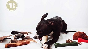 Juguetes naturales para perros y gatos, una tendencia al alza