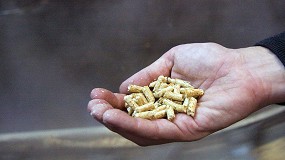 Foto de El sector de la biomasa propone un IVA reducido del 10% para los biocombustibles slidos