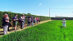 Fotografia de [es] Primeros resultados de dos nuevos proyectos sobre agricultura regenerativa y de carbono en Catalua